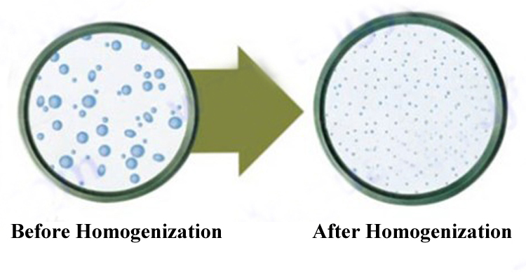 homogenizer-4.jpg