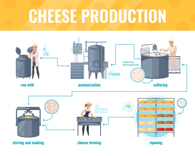 How to make cheese.jpg