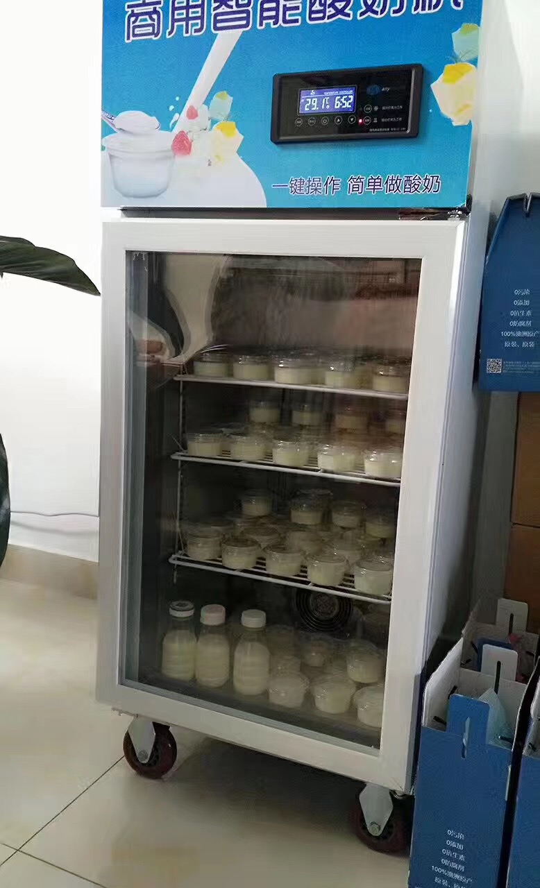 Small Cup Yogurt Cabinet Incubator.jpg